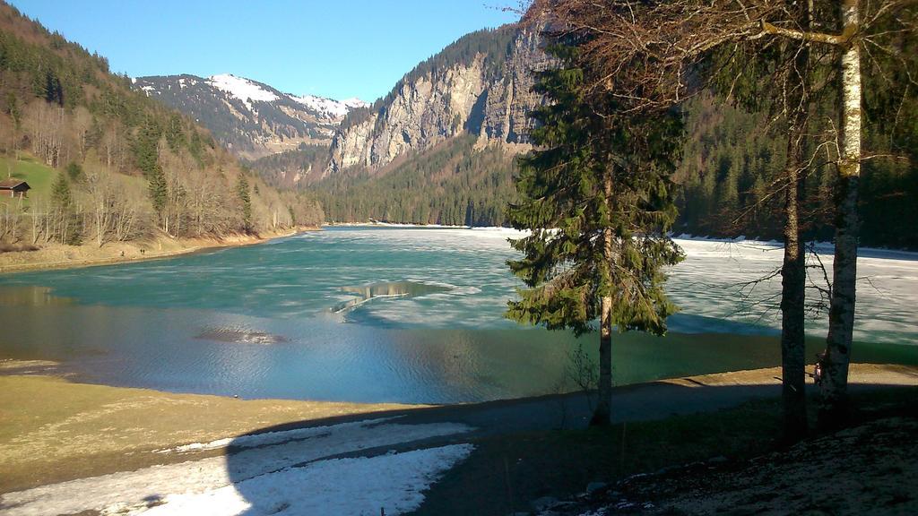 Logis Hotel Les Sapins Монрйон Екстер'єр фото