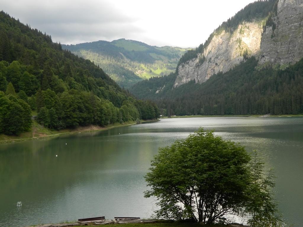 Logis Hotel Les Sapins Монрйон Екстер'єр фото